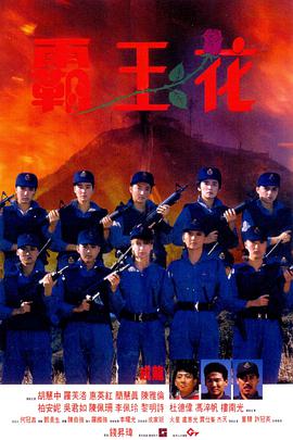 《女大学生与烦人学长》
